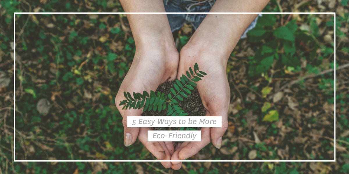 5 Easy Ways to be More Eco-Friendly - Eidon