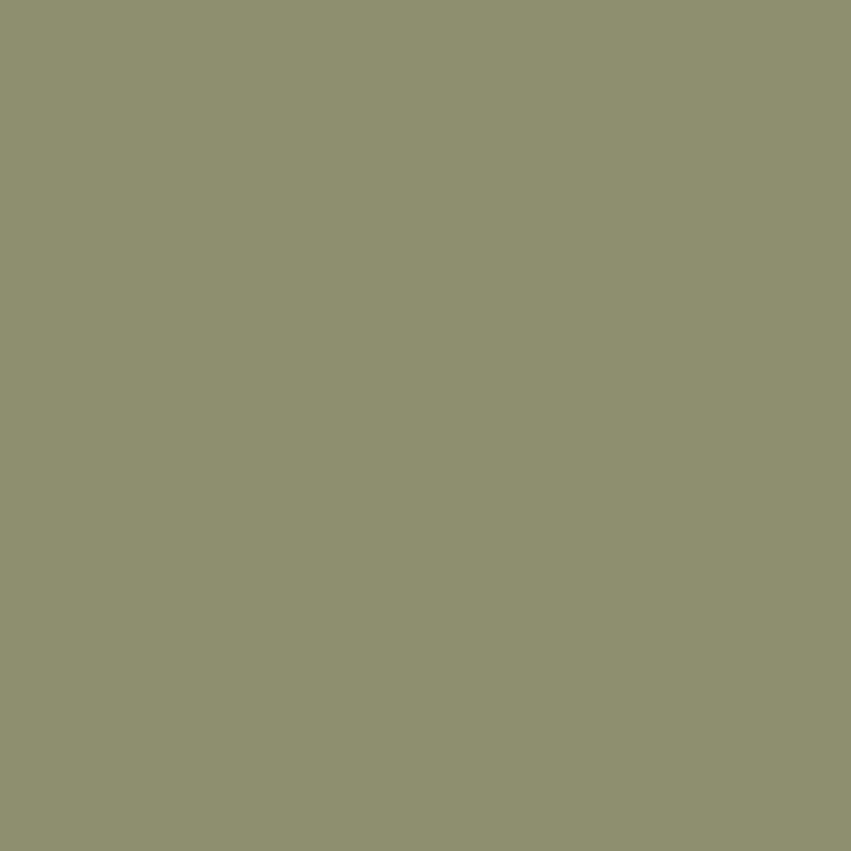 Beachy Bottom - TUNDRA - Eidon