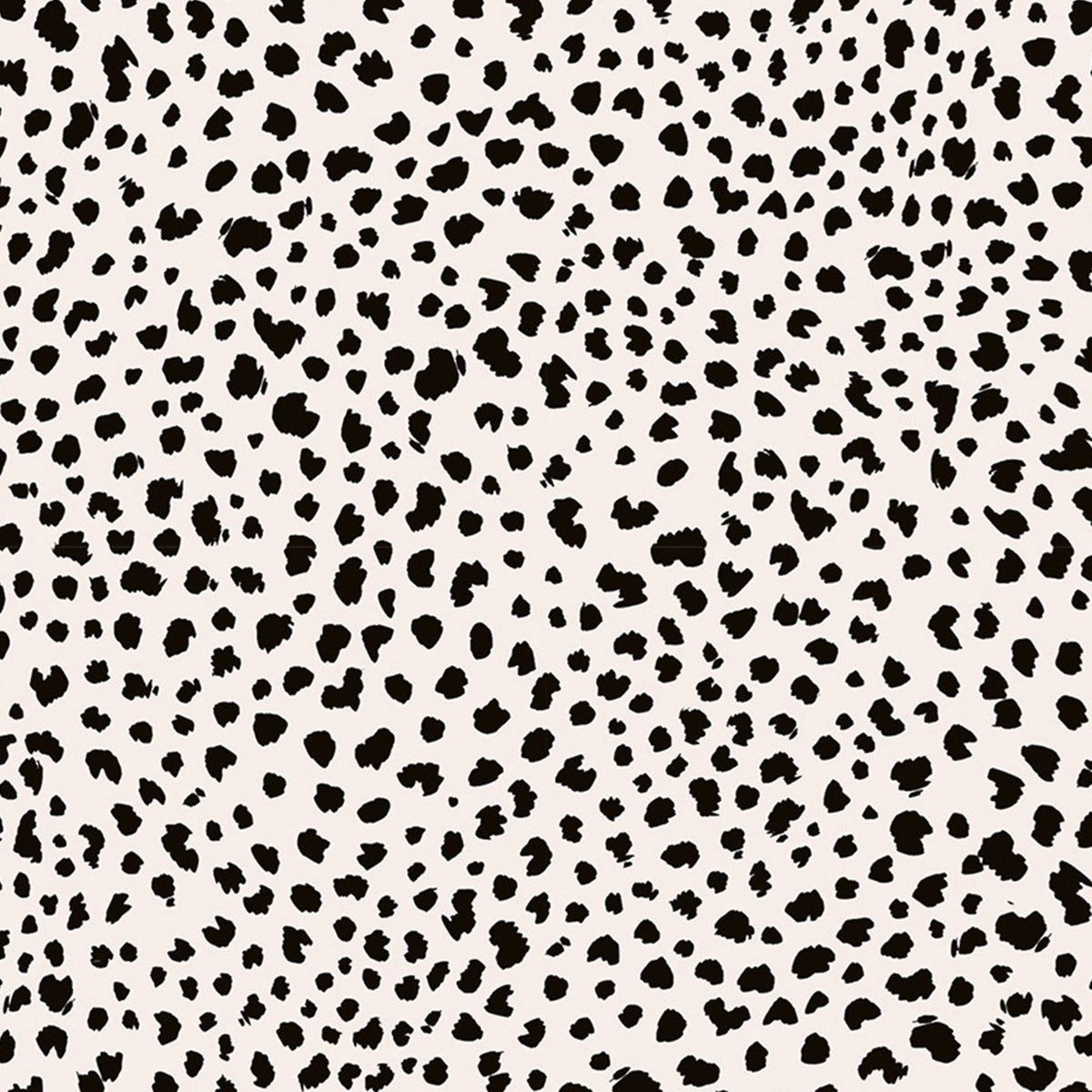 Kali Slider Top - FELINE - Eidon