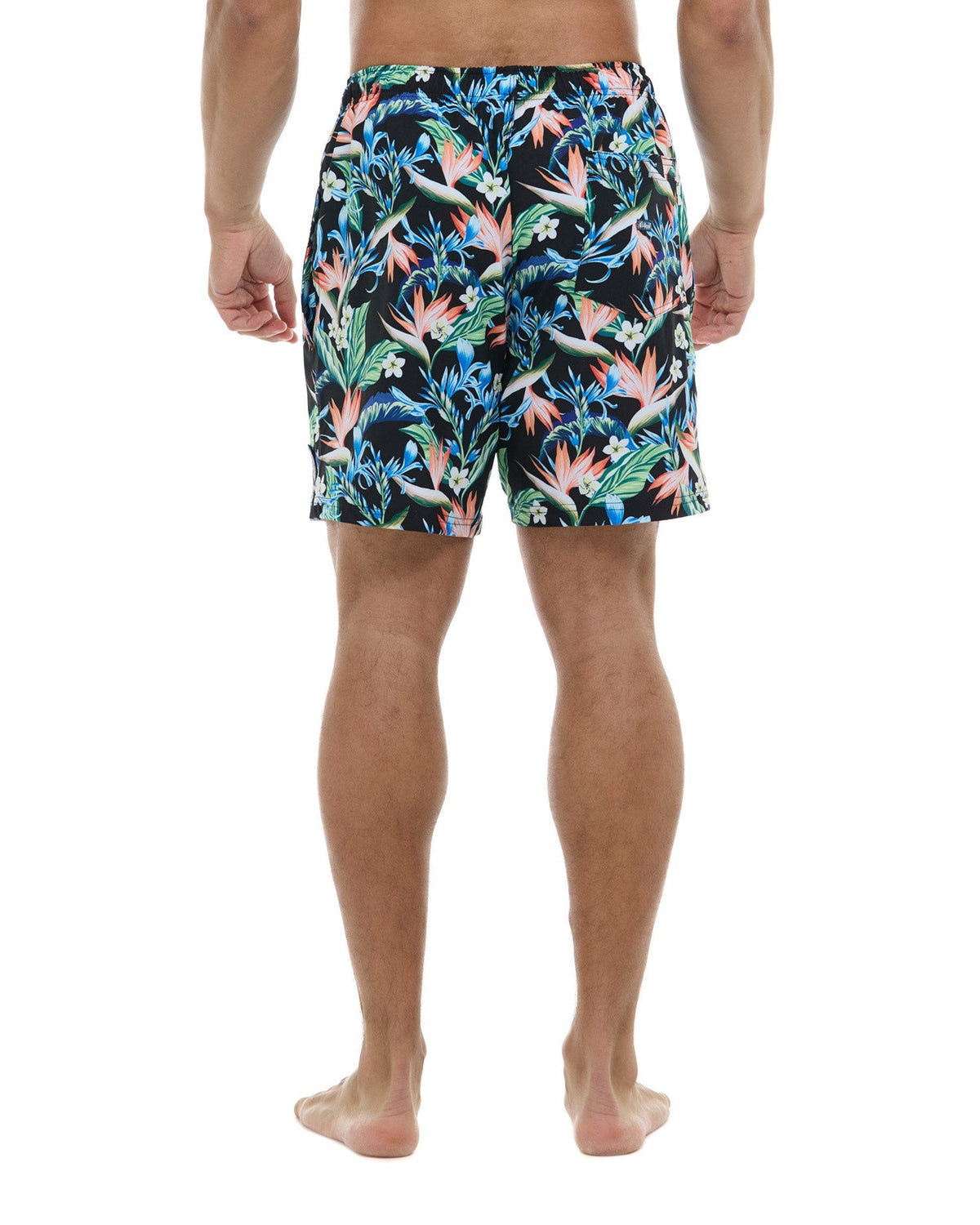 Saladitas Short - BLACK - Eidon